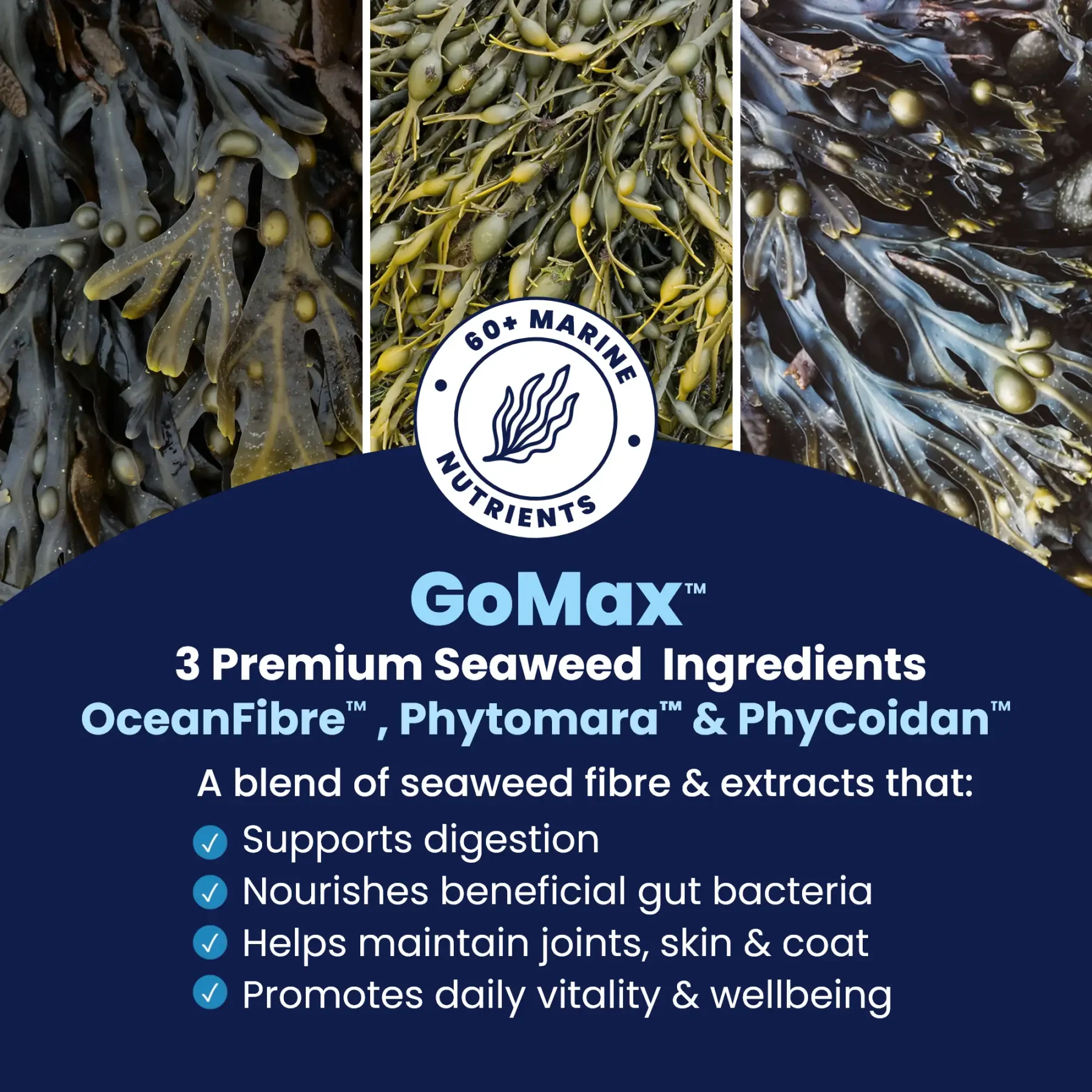 GoMax - 3 Seaweed extracts GoMax - 3 Seaweed extracts