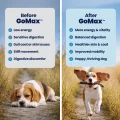 GoMax B&A