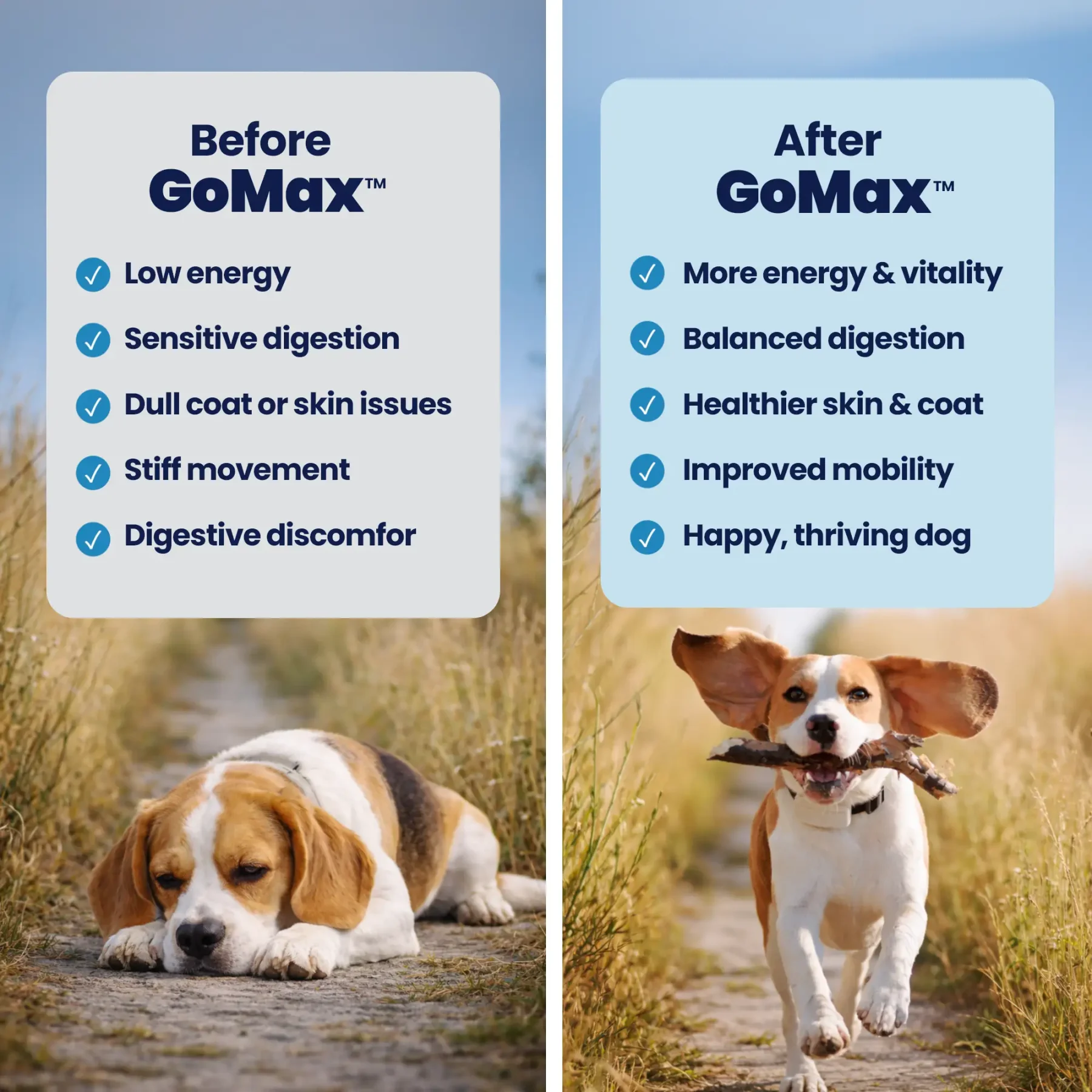 GoMax B&A GoMax B&A