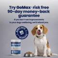 GoMax - Guarantee