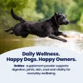 GoMax - Happy Dogs