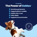 GoMax - Power of – 1