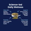 GoMax - Science LED