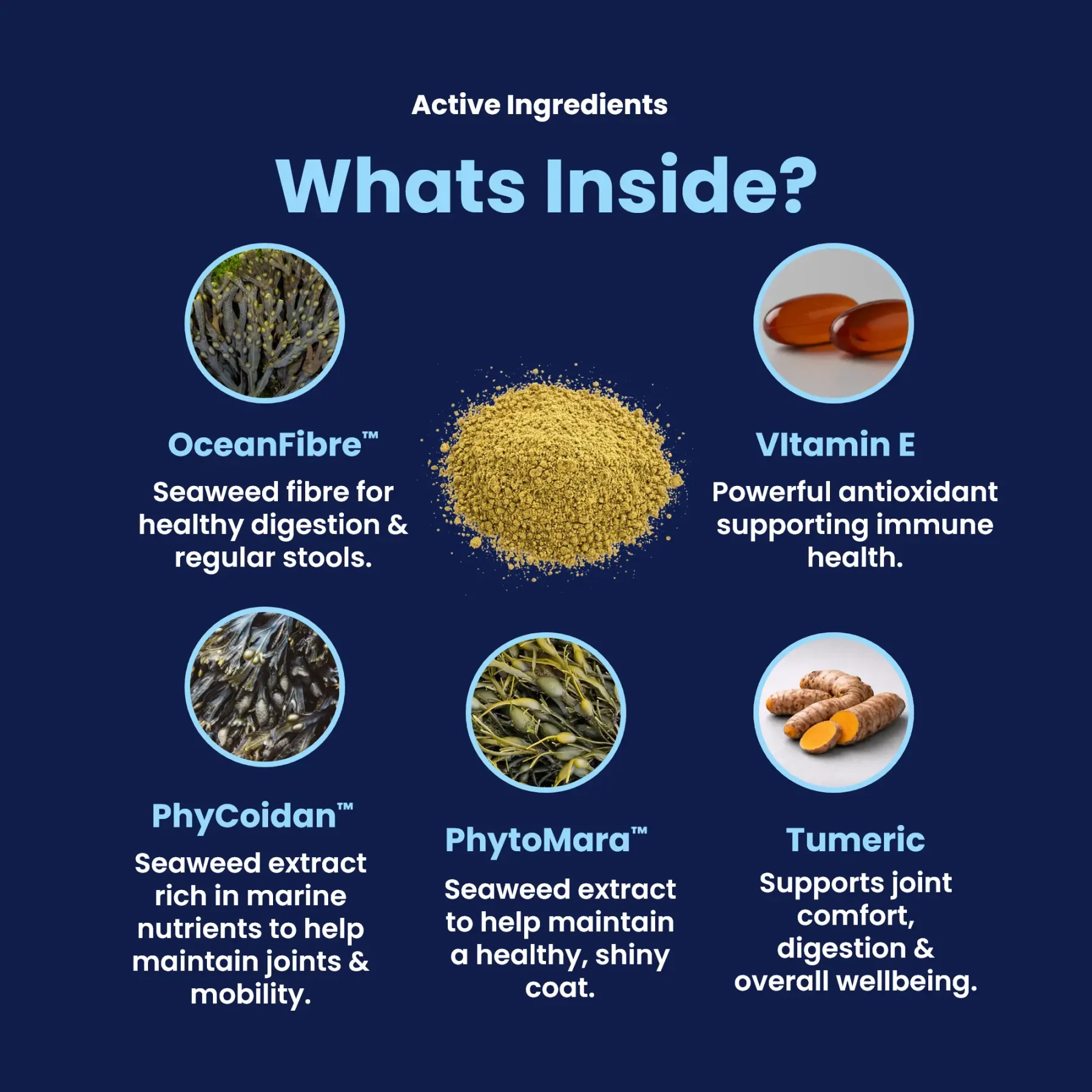 GoMax - Whats inside GoMax - Whats inside