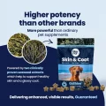 GoShine CHEWS - 2 Seaweeds