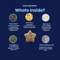 GoShine CHEWS - Whats Inside