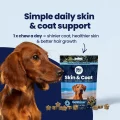 GoShine CHEWS img1