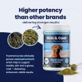 GoShine POWDER - 2 Seaweeds
