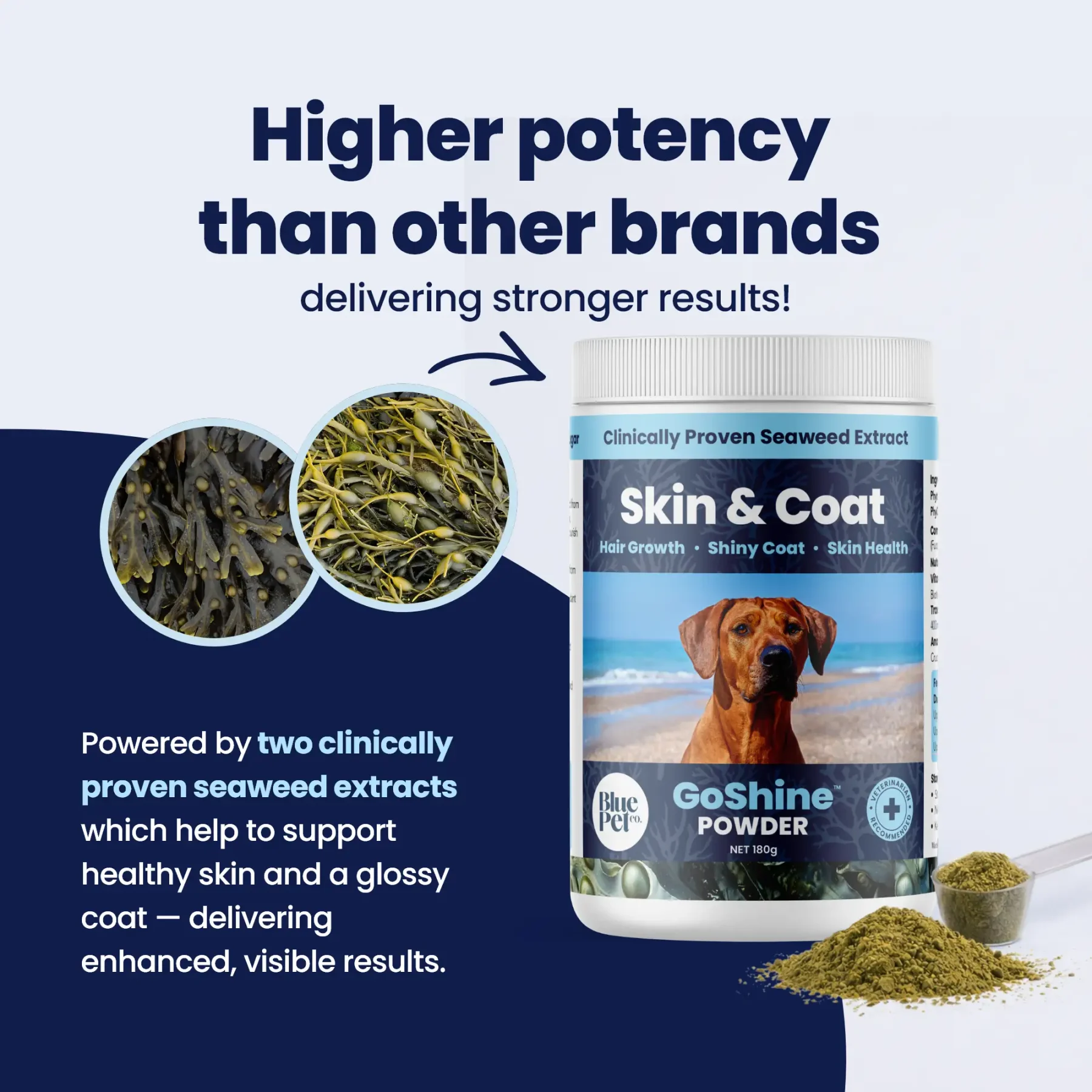 GoShine POWDER - 2 Seaweeds GoShine POWDER - 2 Seaweeds