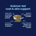GoShine POWDER - Science Led