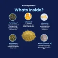 GoShine POWDER - Whats Inside