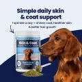 GoShine POWDER img1