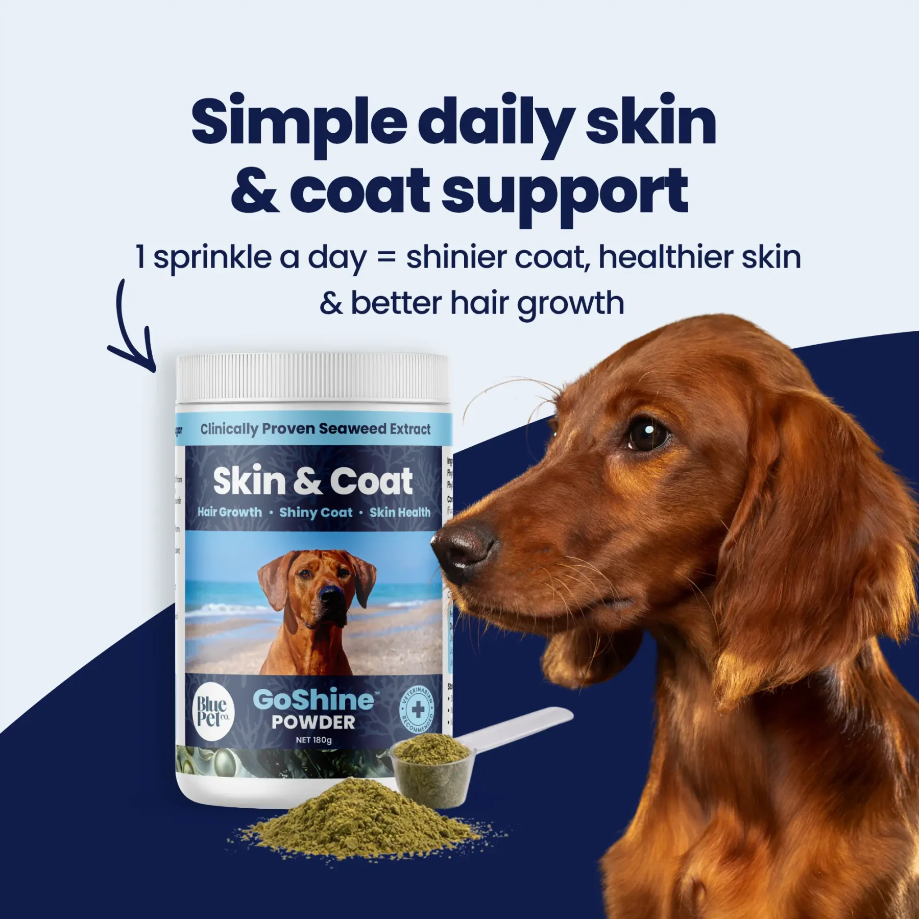 GoShine POWDER img1 GoShine POWDER img1