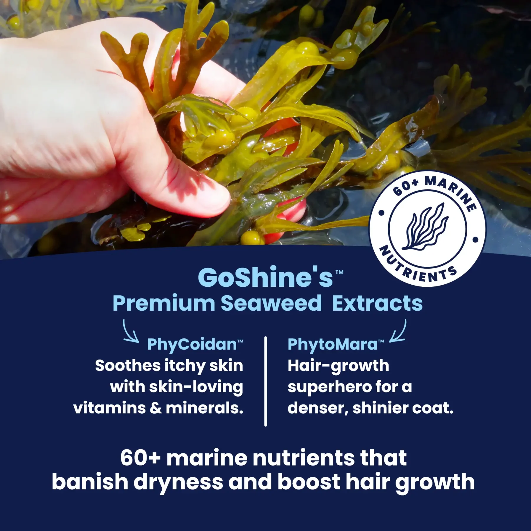 GoShine Seaweed Extracts GoShine Seaweed Extracts