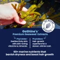 GoShine Seaweed Extracts