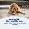 GoShine Stop the Itch