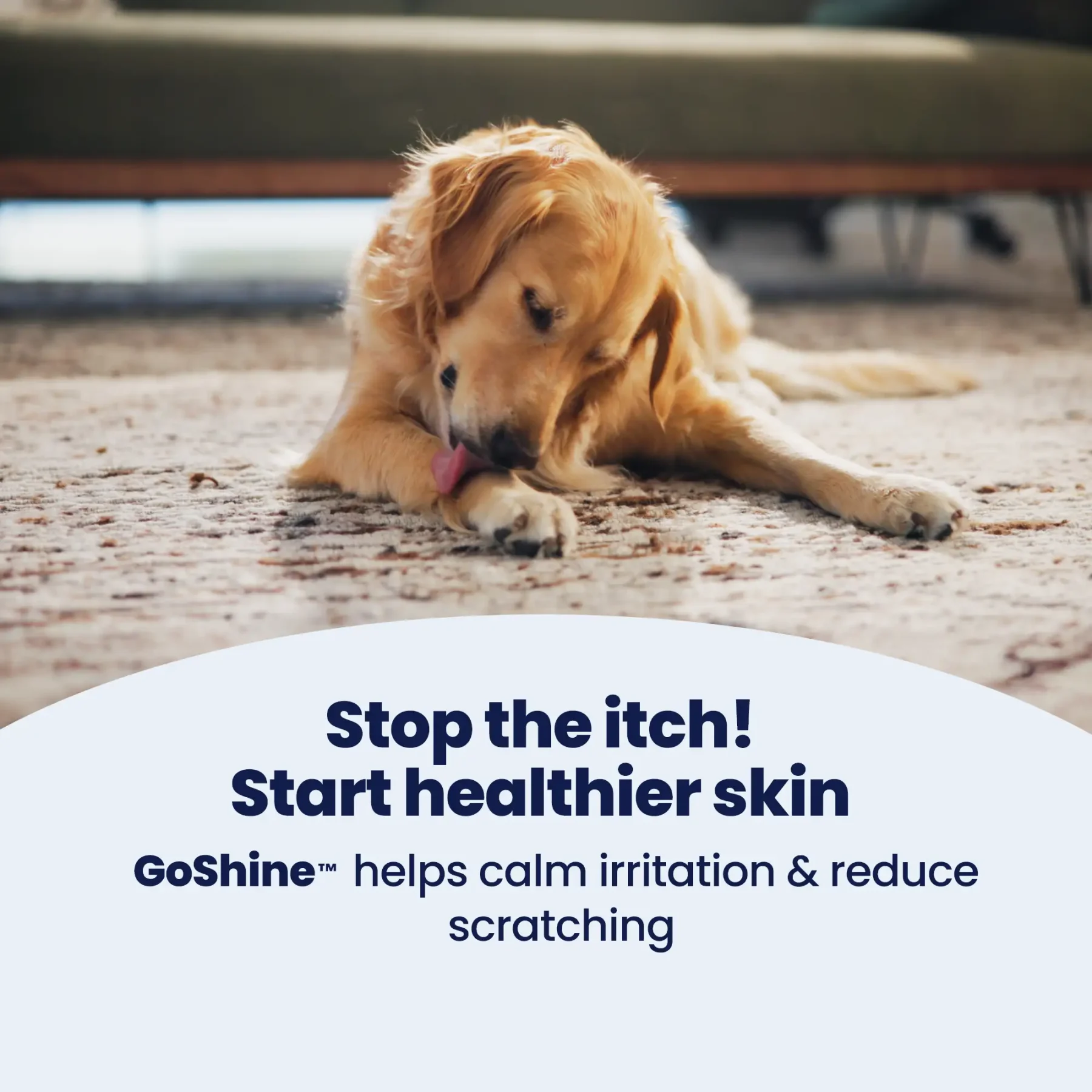 GoShine Stop the Itch GoShine Stop the Itch