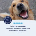 GoShine Testimonial