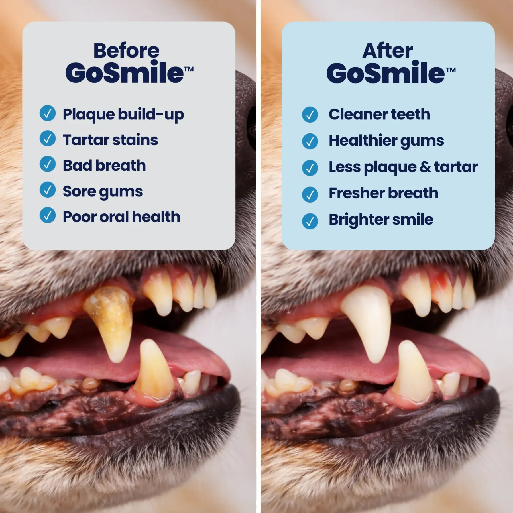 GoSmile - B&A GoSmile - B&A