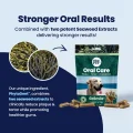 GoSmile CHEWS - 2 Seaweeds