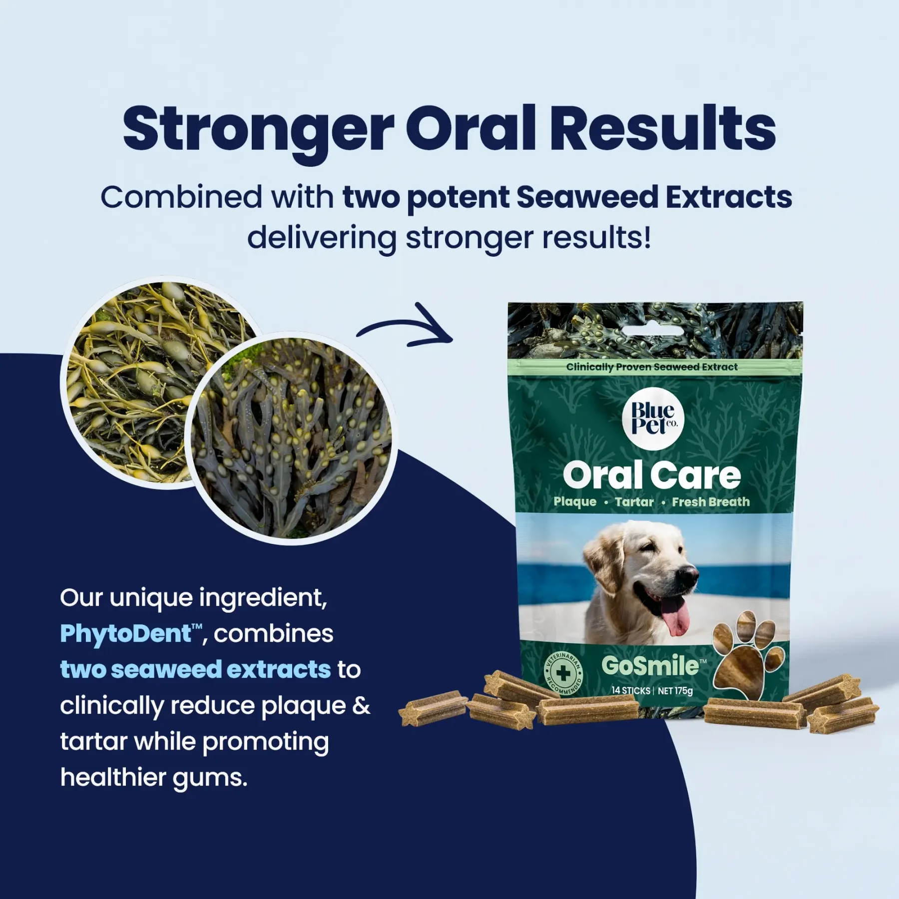 GoSmile CHEWS - 2 Seaweeds GoSmile CHEWS - 2 Seaweeds