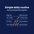 GoSmile CHEWS - Daily Amount