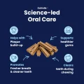 GoSmile CHEWS - Science Led