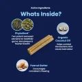 GoSmile CHEWS - Whats inside