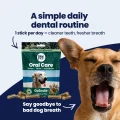 GoSmile CHEWS img1