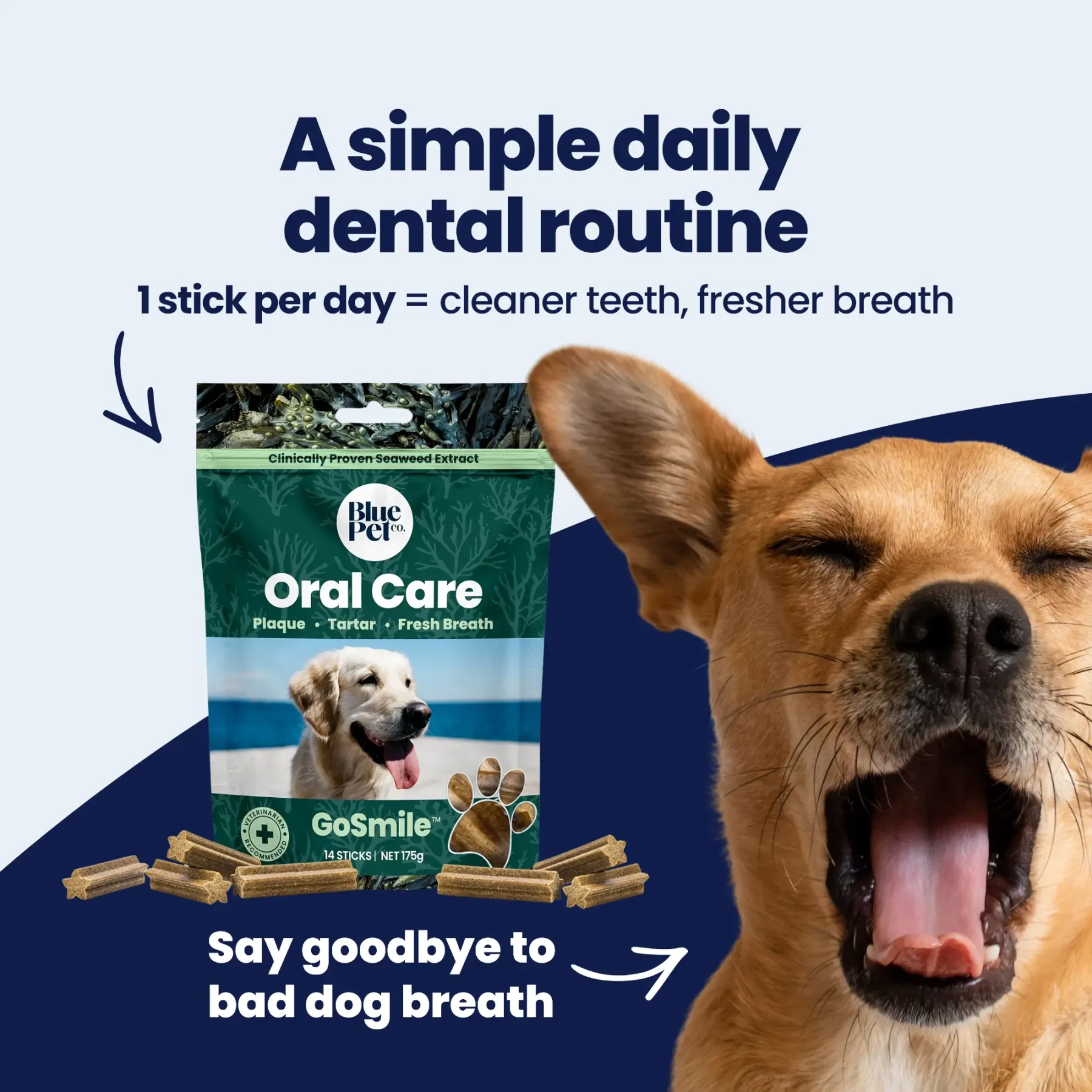 GoSmile CHEWS img1 GoSmile CHEWS img1