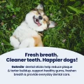 GoSmile - Fresh Breath