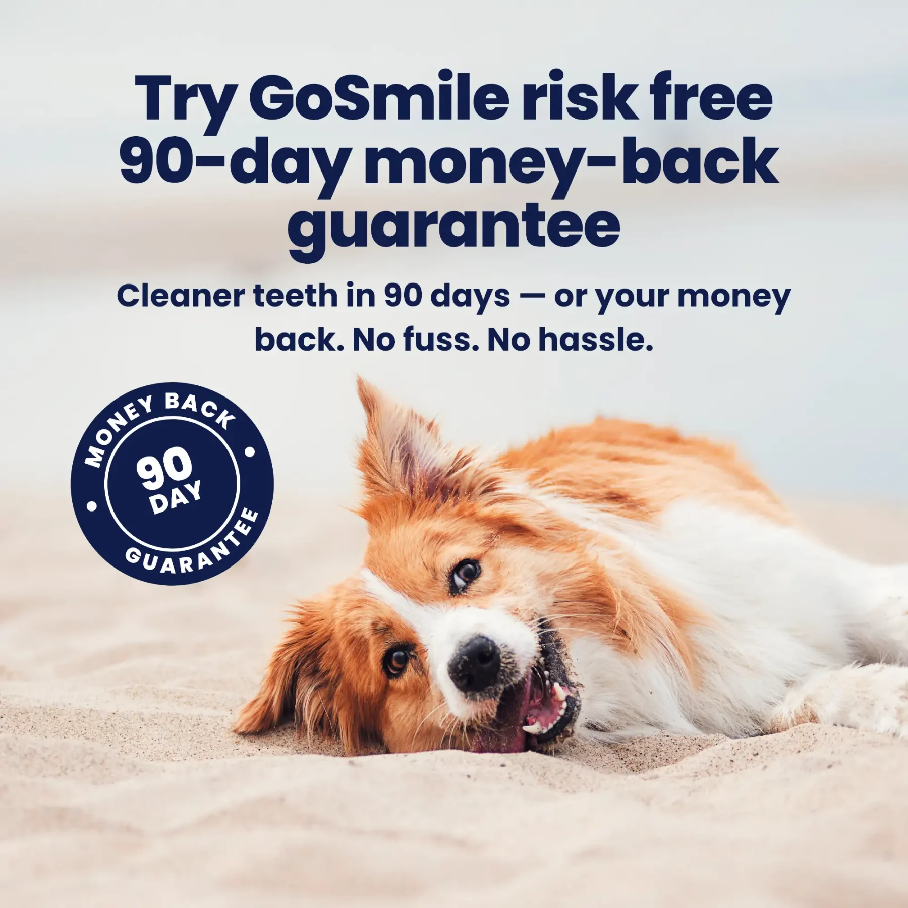 GoSmile - Guarantee GoSmile - Guarantee