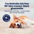 GoSmile - Guarantee