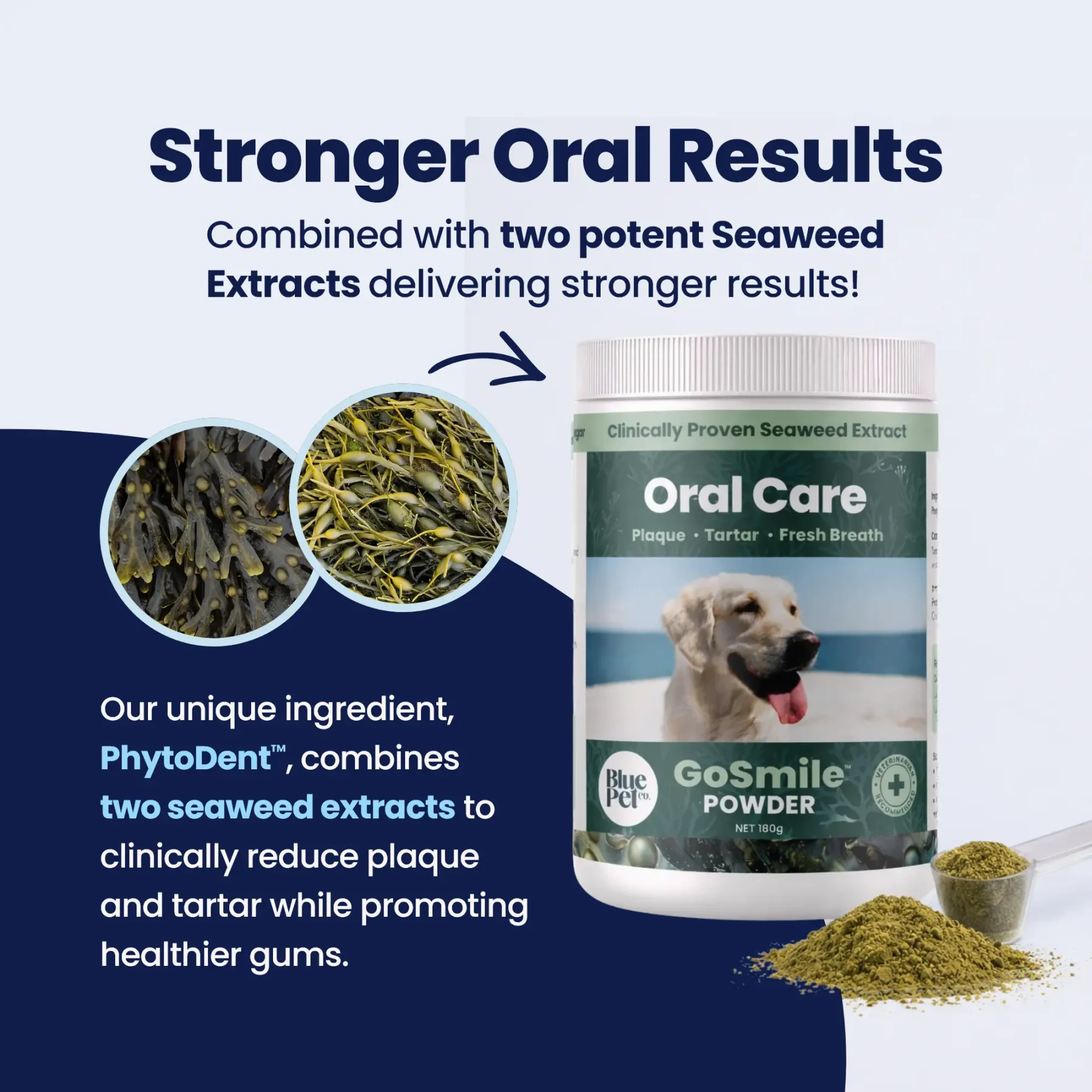 GoSmile POWDER - 2 Seaweeds GoSmile POWDER - 2 Seaweeds