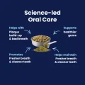 GoSmile POWDER - Science Led
