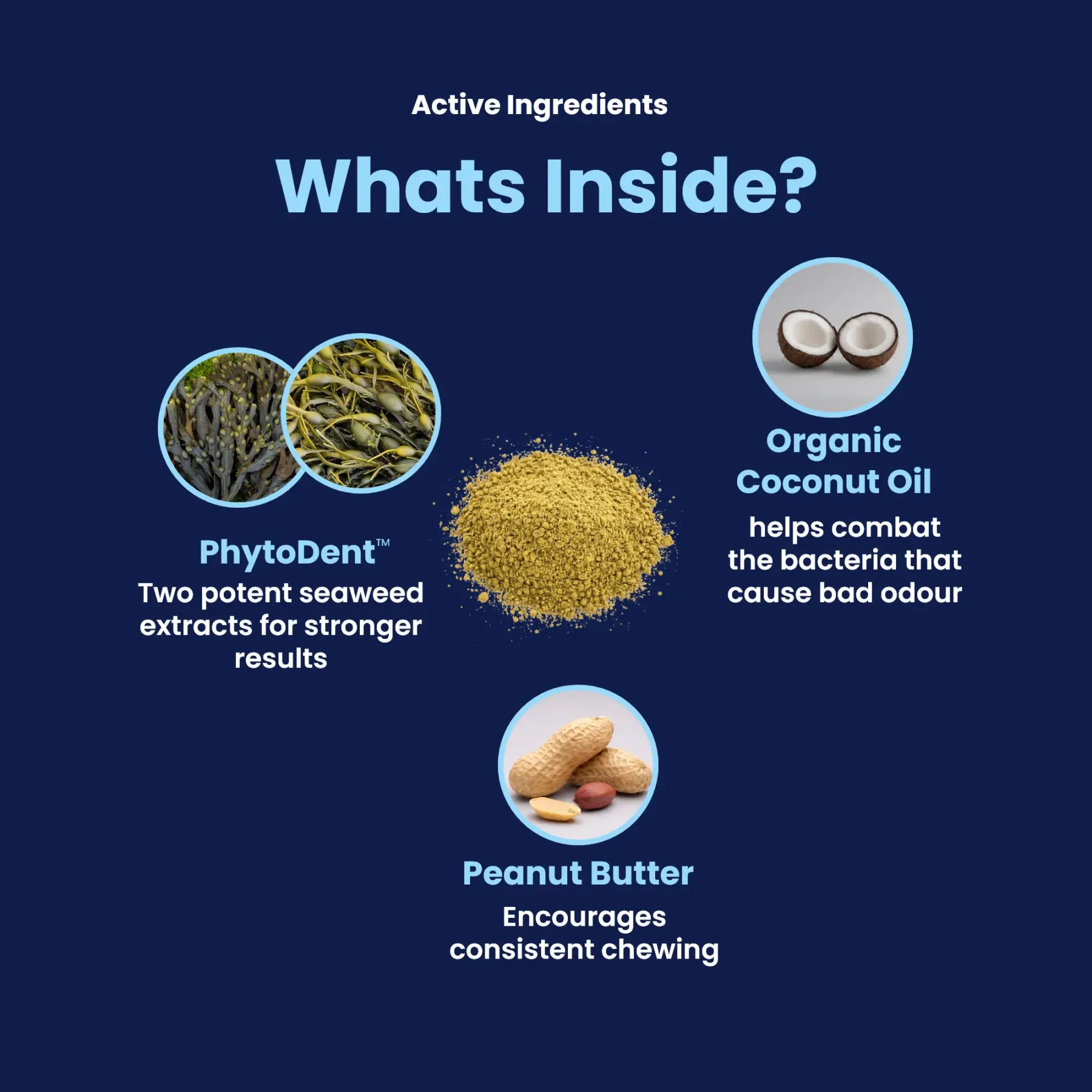 GoSmile POWDER - Whats inside GoSmile POWDER - Whats inside
