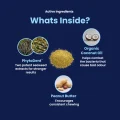 GoSmile POWDER - Whats inside
