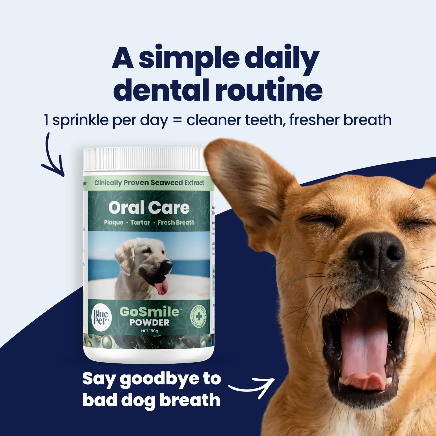 GoSmile POWDER img1 GoSmile POWDER img1