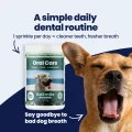 GoSmile POWDER img1