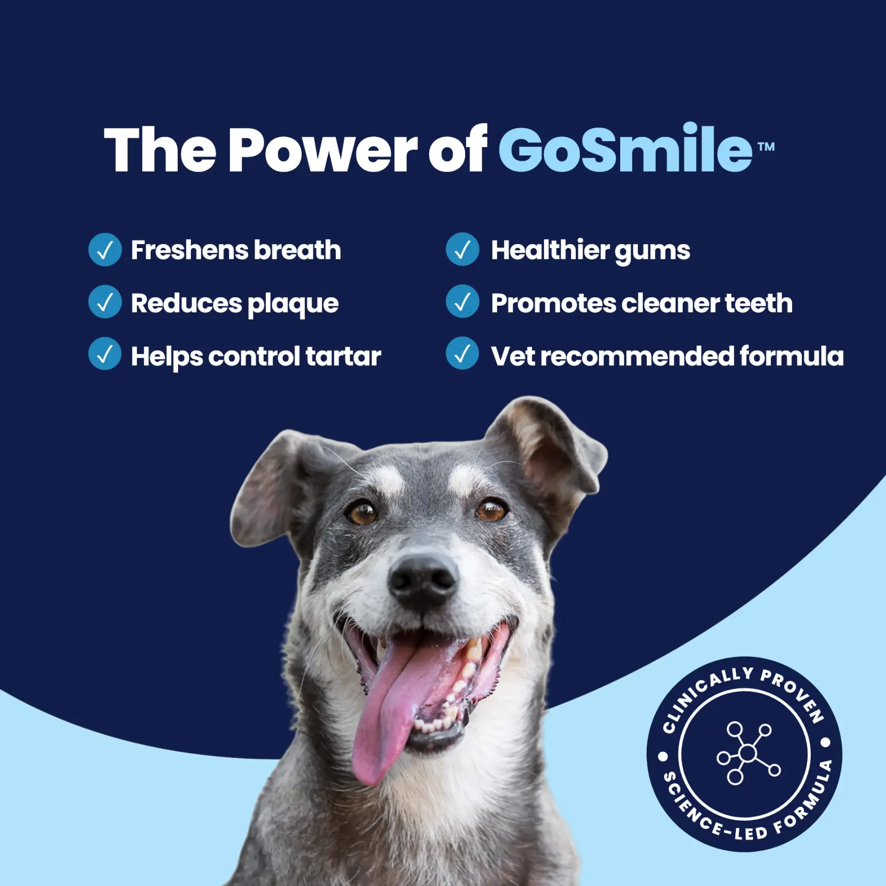 GoSmile - Power Of GoSmile - Power Of