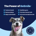 GoSmile - Power Of