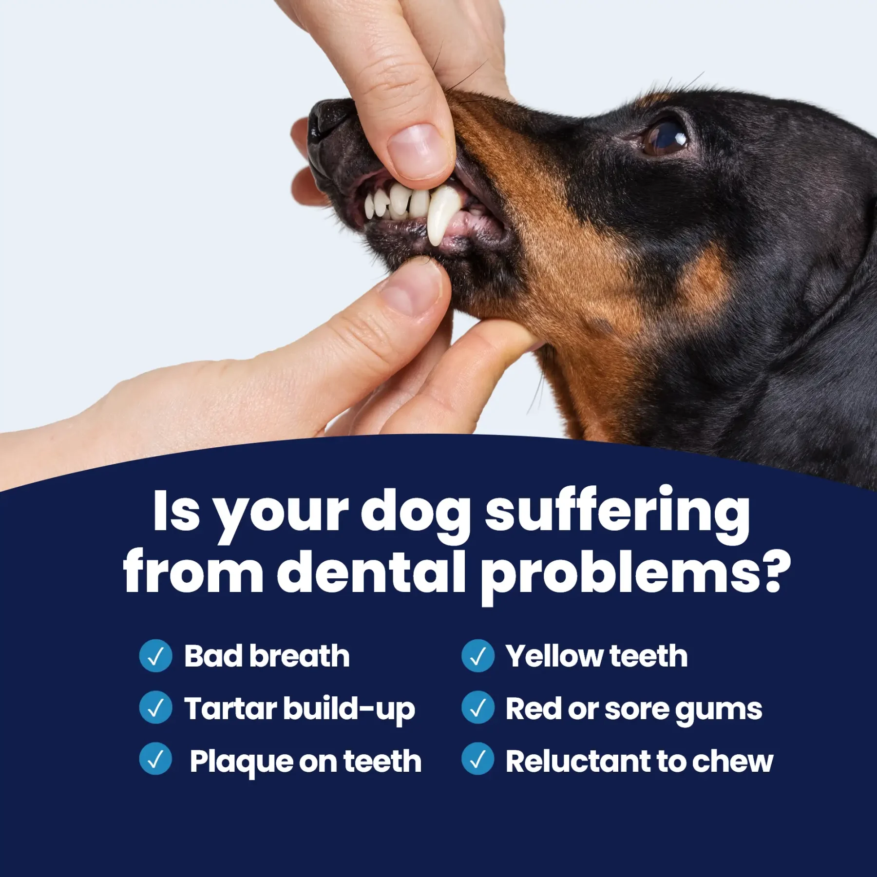 GoSmile - Problems GoSmile - Problems