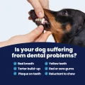 GoSmile - Problems
