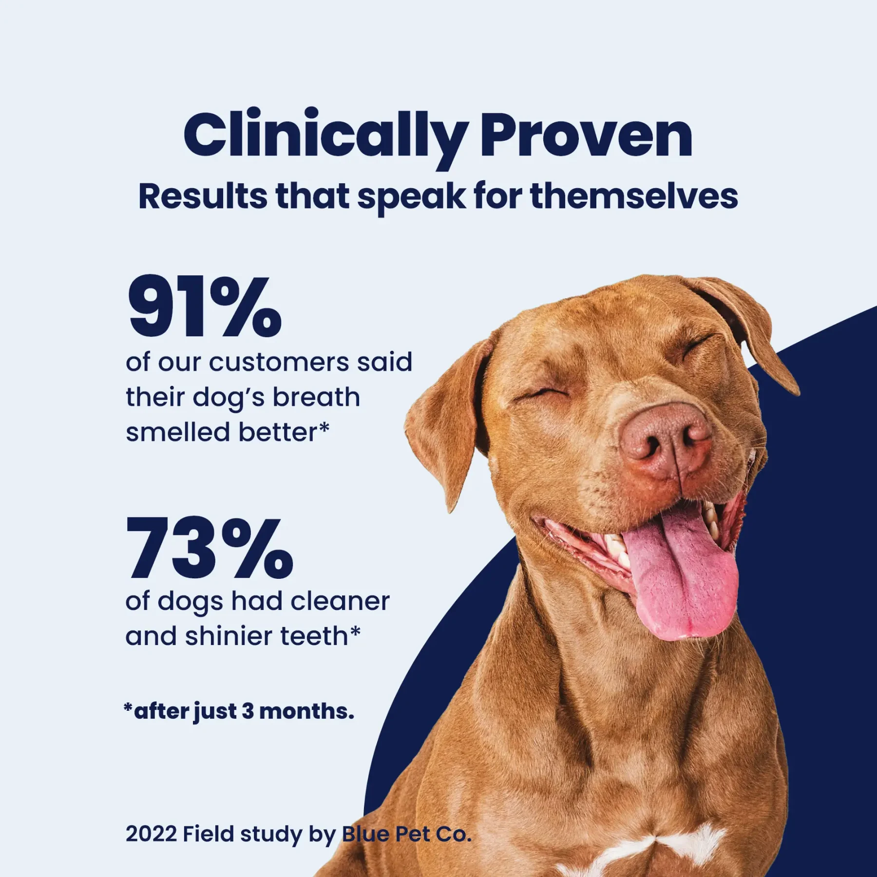 GoSmile - Proof GoSmile - Proof