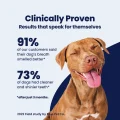 GoSmile - Proof