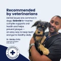 GoSmile - Vet
