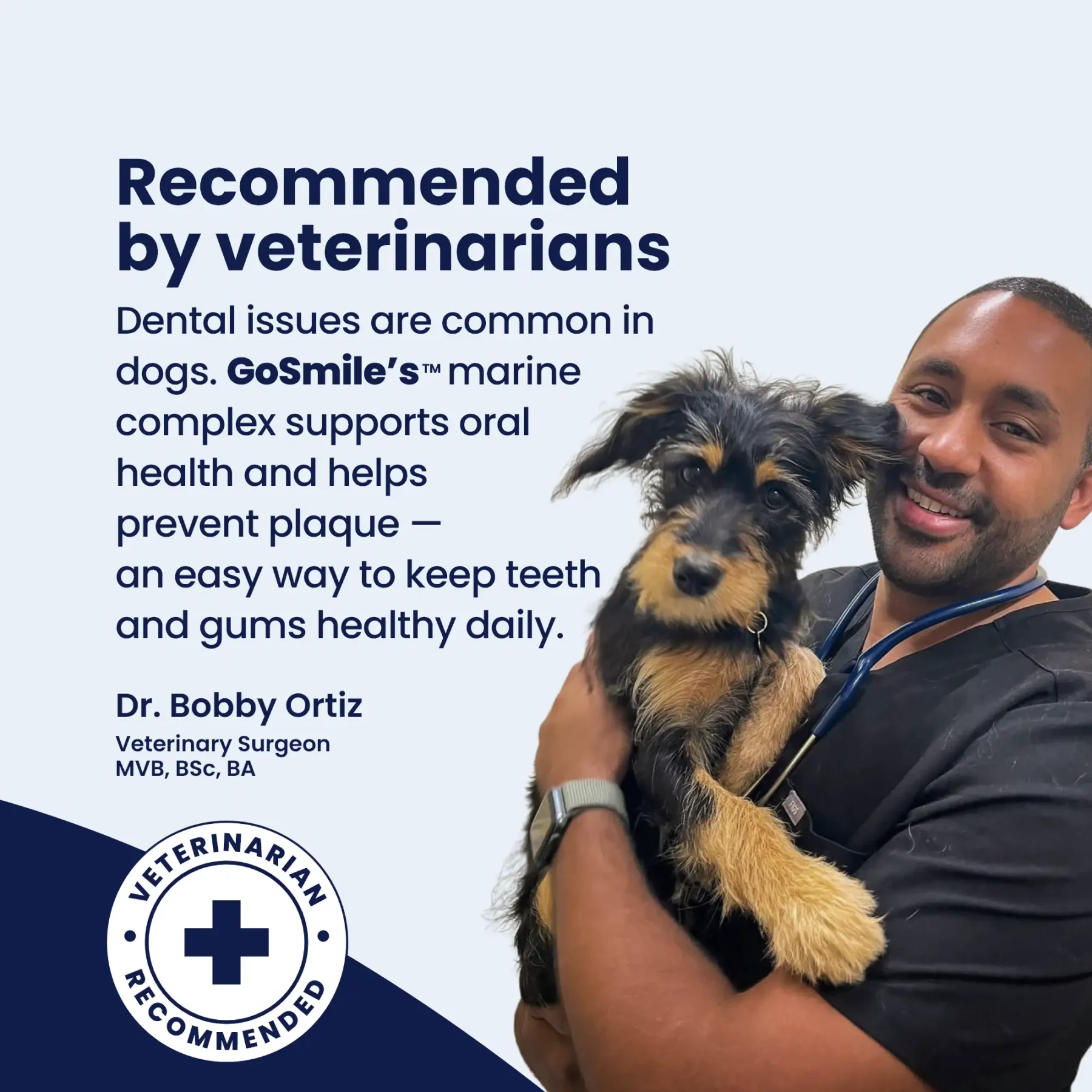 GoSmile - Vet GoSmile - Vet
