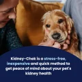 Kidney Chek – 4