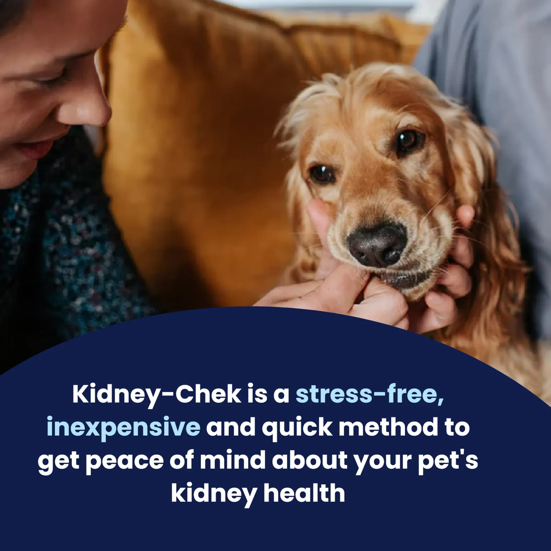 Kidney Chek – 4 Kidney Chek – 4
