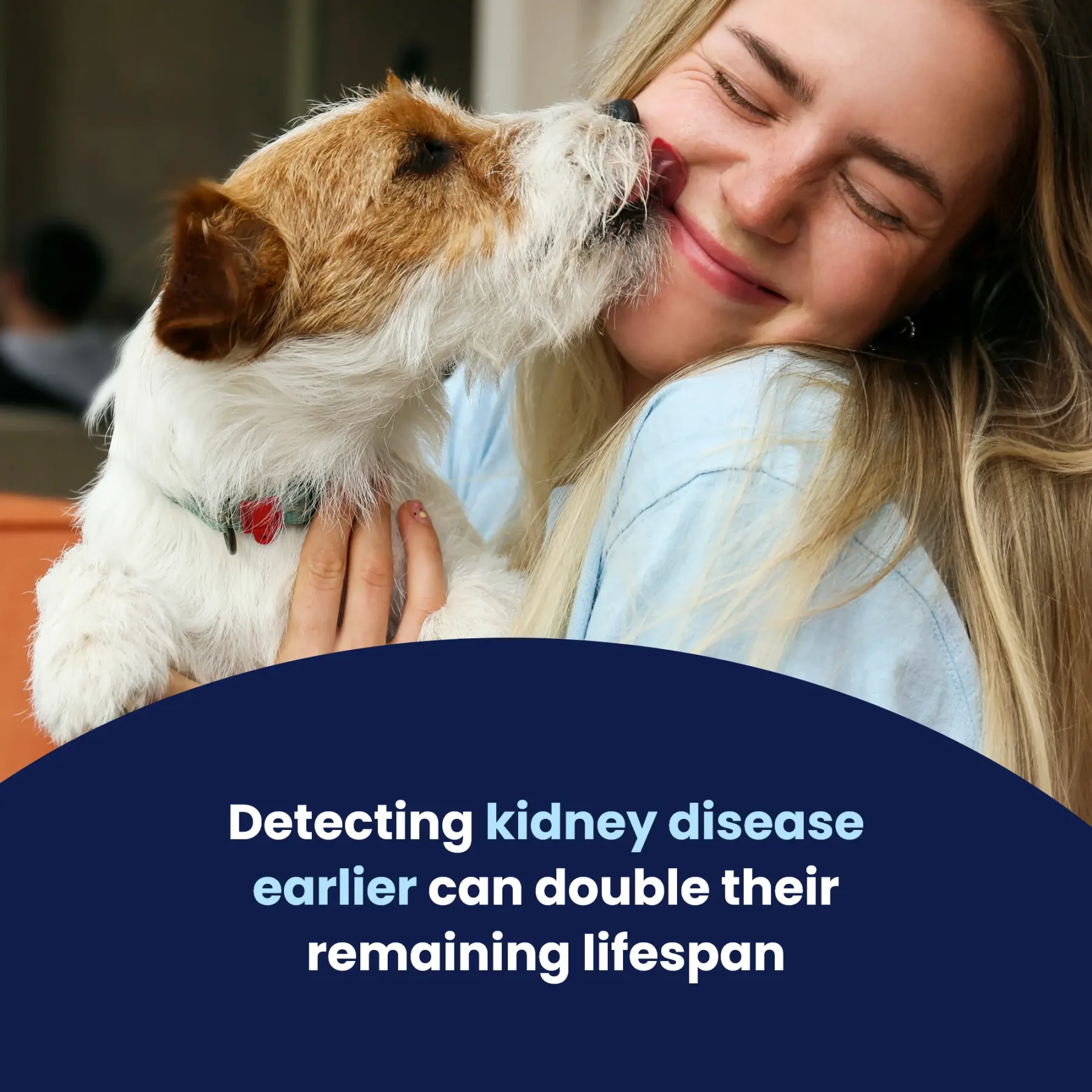 Kidney Chek – 5 (1) Kidney Chek – 5 (1)
